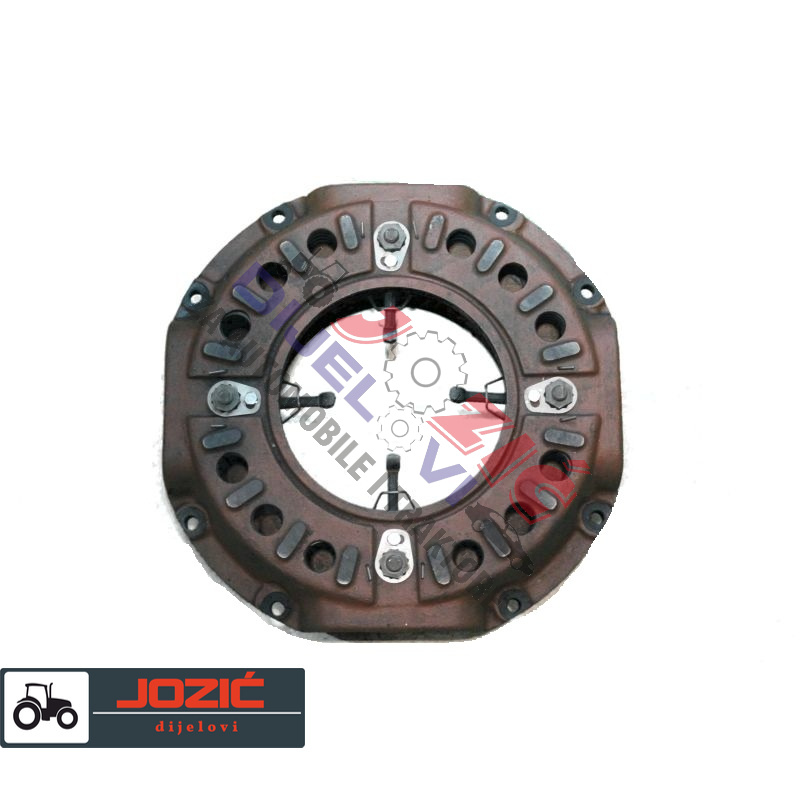 Daisy on the Ohoopee